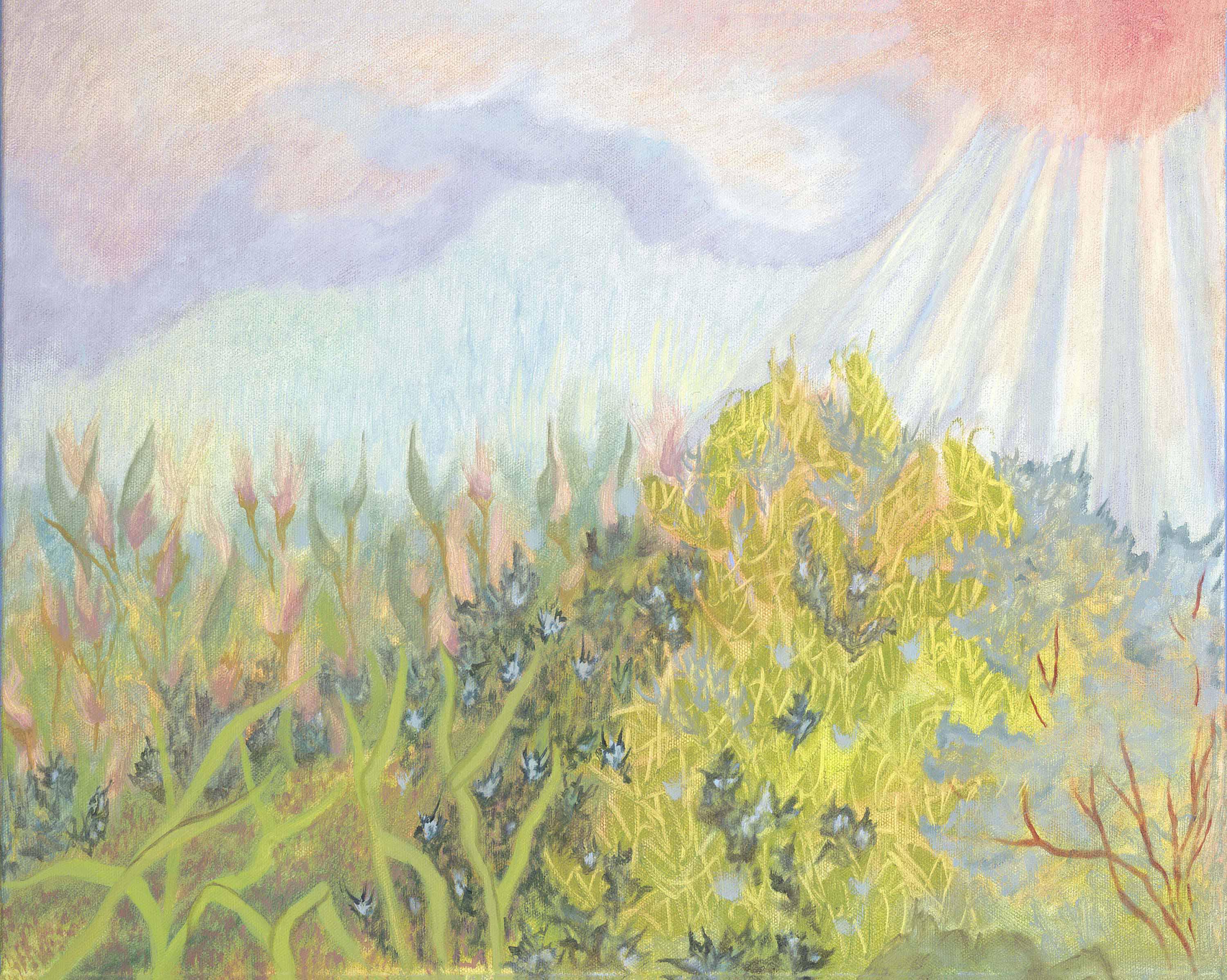 Whimsical Botanicals 5